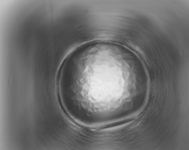 X0000072991467200607290001