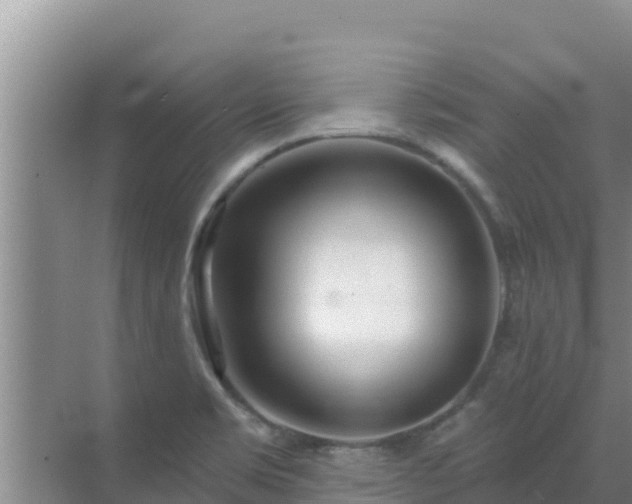 X0000072991469200607290001