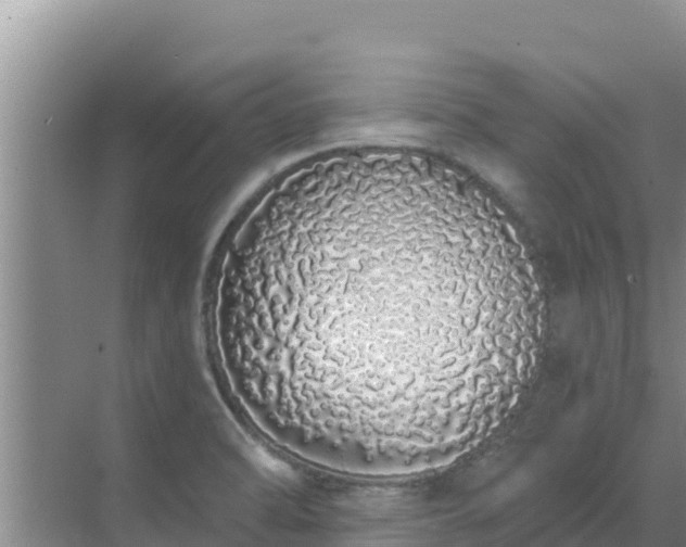 X0000072991470200607290001