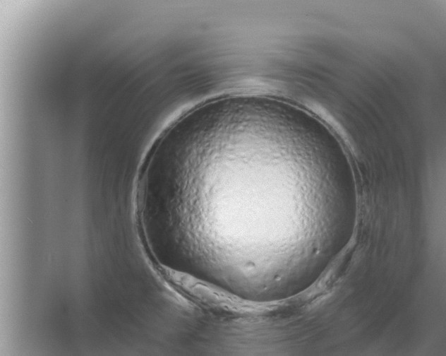 X0000072991477200607290001