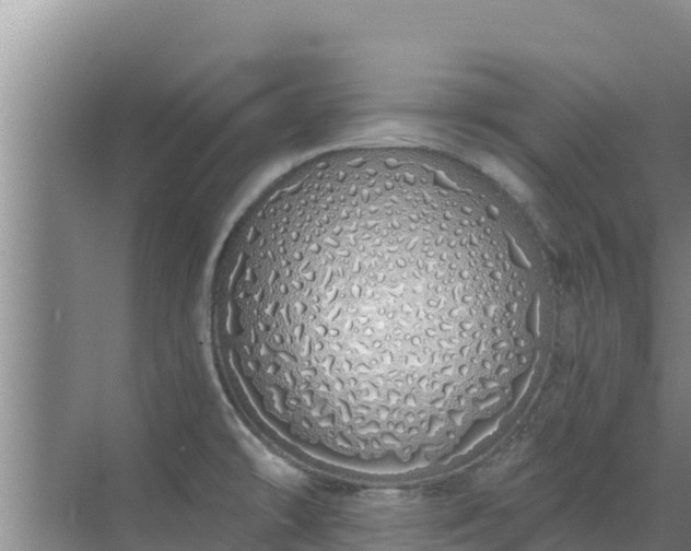 X0000072991478200607290001