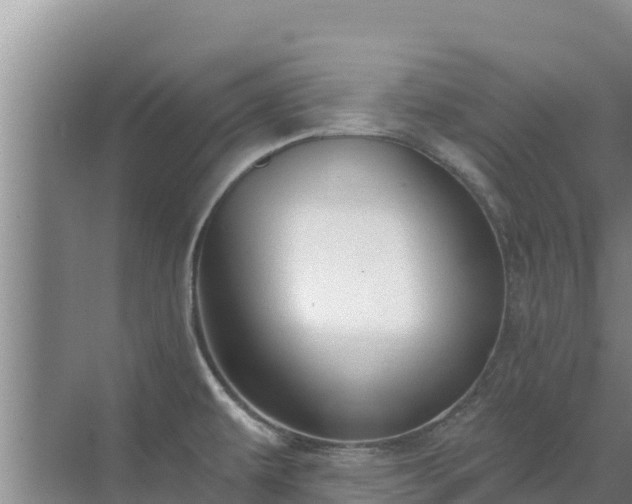 X0000072991479200607290001