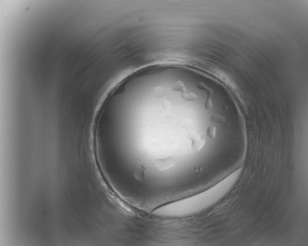 X0000072991480200607290001