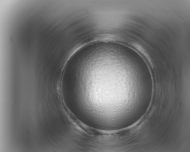 X0000072991481200607290001