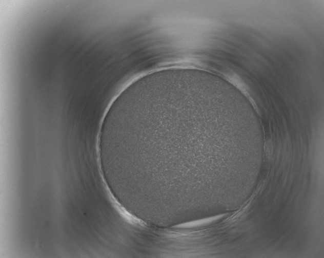 X0000072991482200607290001