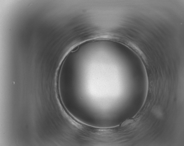 X0000072991483200607290001