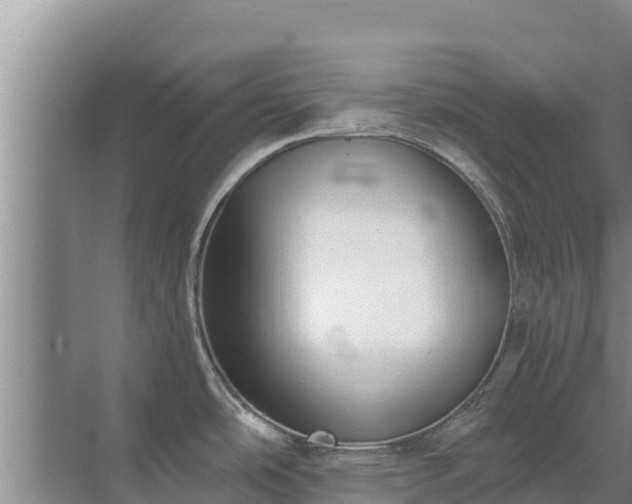 X0000072991486200607290001