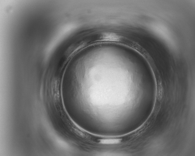 X0000072991487200607290001