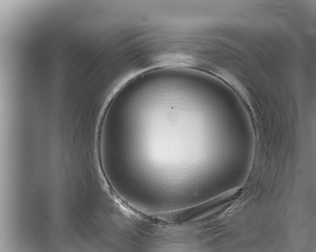 X0000072991488200607290001