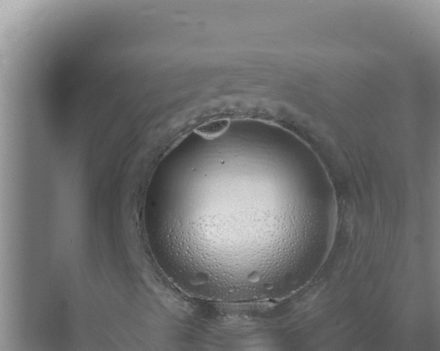 X0000072991489200607290000