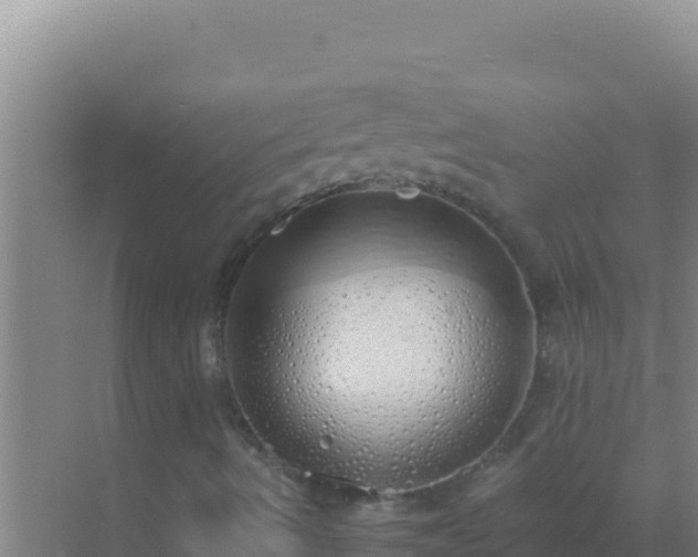 X0000072991490200607290000