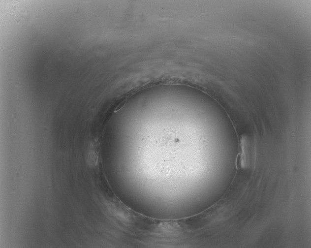 X0000072991491200607290000