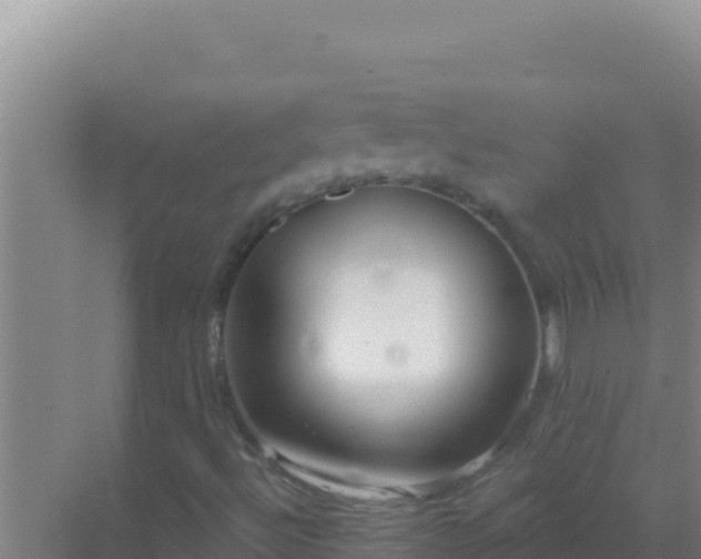 X0000072991492200607290000