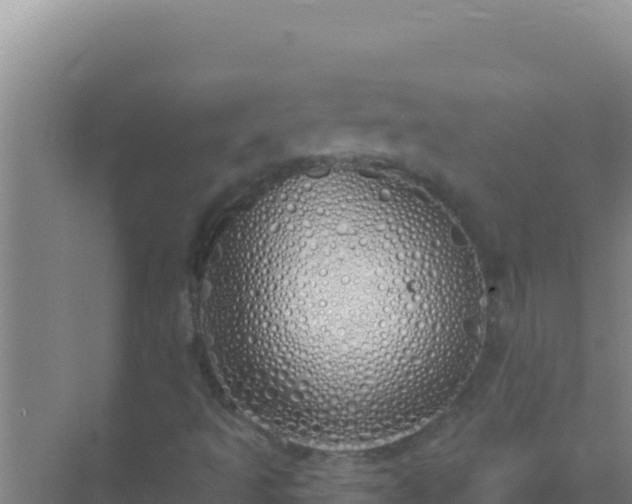 X0000072991493200607290000