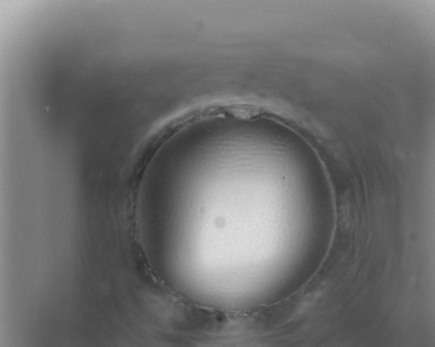 X0000072991494200607290000