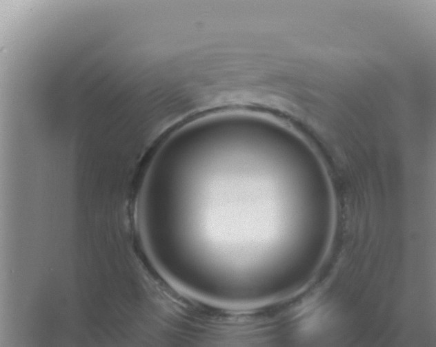 X0000072991497200607290000