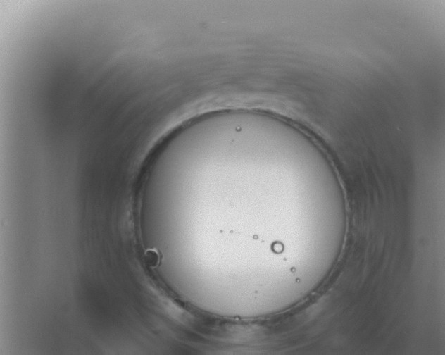 X0000072991498200607290000