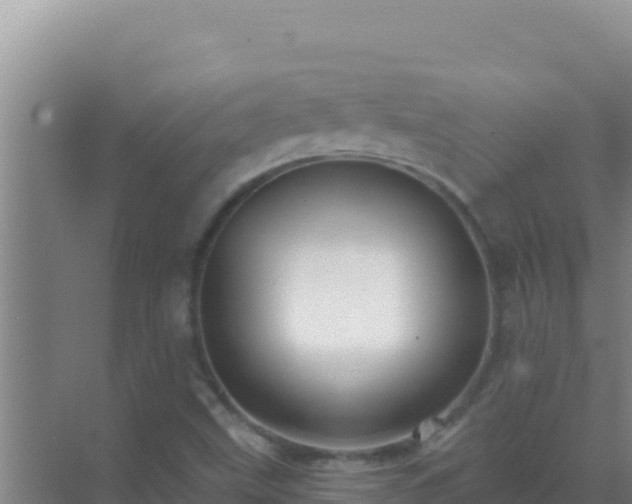 X0000072991499200607290000