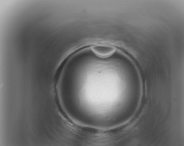 X0000072991501200607290000