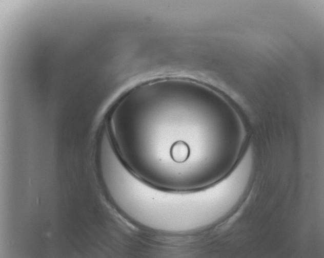 X0000072991502200607290000