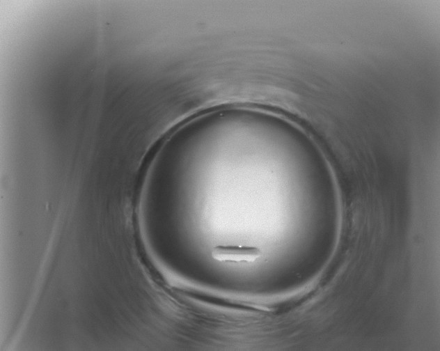 X0000072991505200607290000