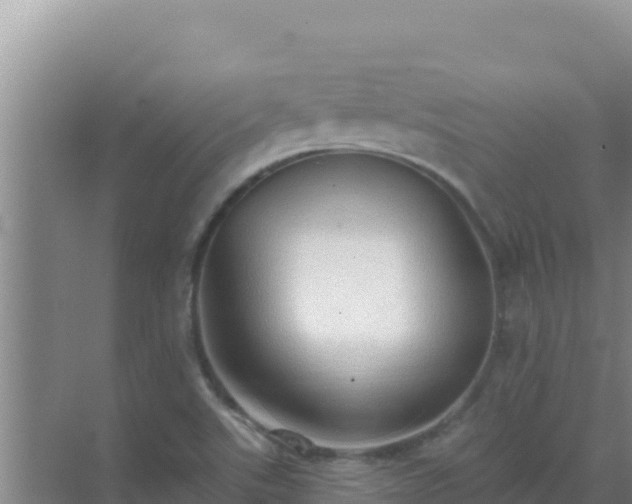 X0000072991507200607290000