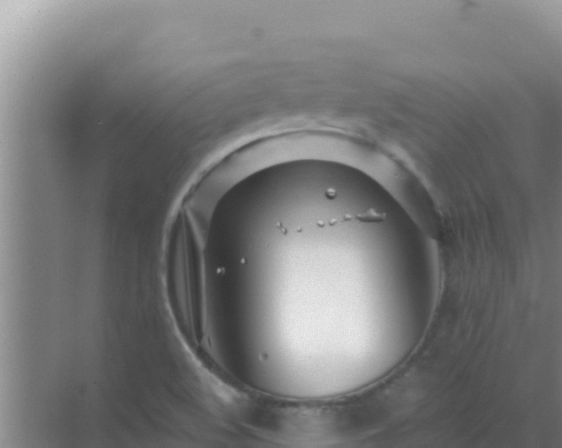 X0000072991508200607290000