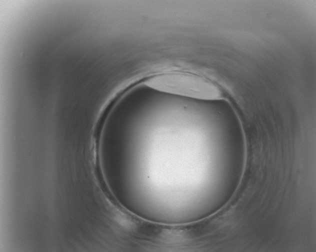 X0000072991509200607290000