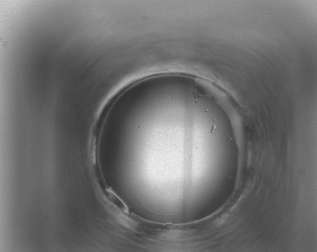 X0000072991510200607290000