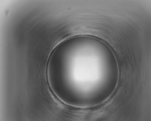 X0000072991513200607290000