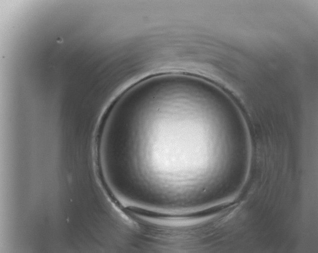 X0000072991517200607290000