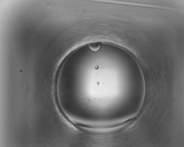 X0000072991518200607290000