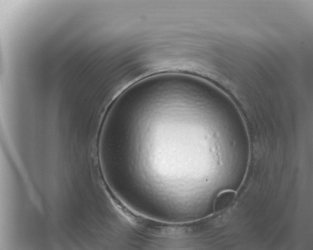 X0000072991521200607290000