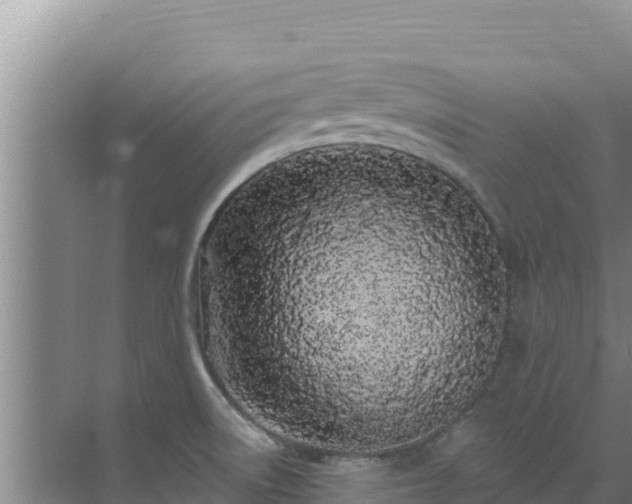 X0000072991522200607290000