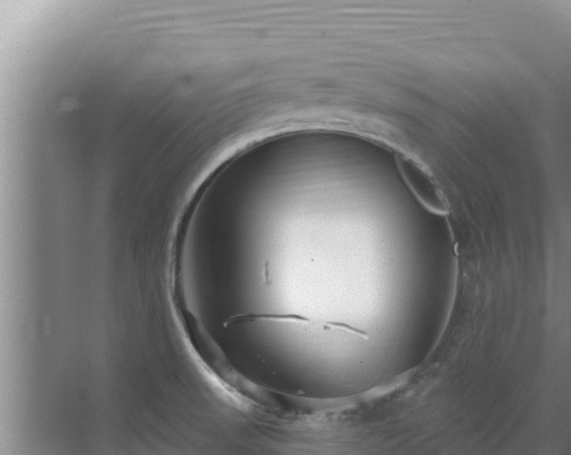 X0000072991523200607290000