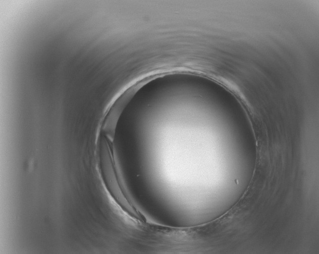 X0000072991524200607290000