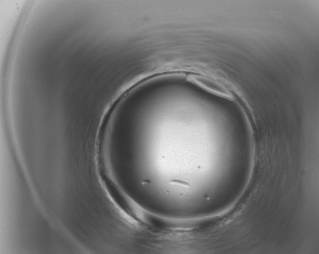 X0000072991525200607290000