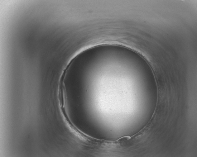 X0000072991526200607290000