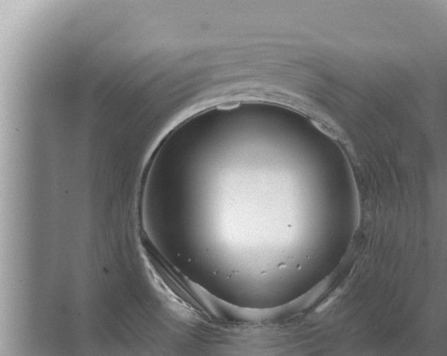 X0000072991530200607290000