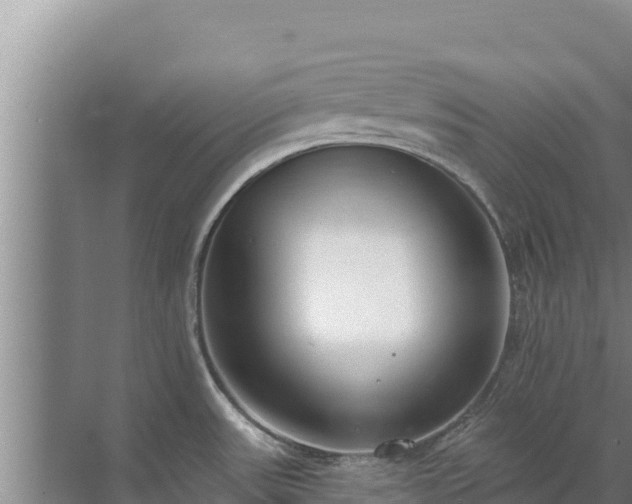 X0000072991531200607290000