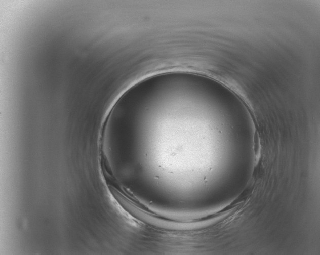 X0000072991532200607290000