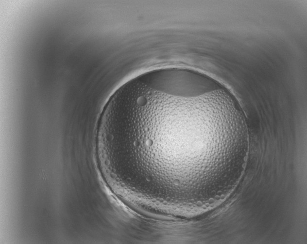 X0000072991534200607290000