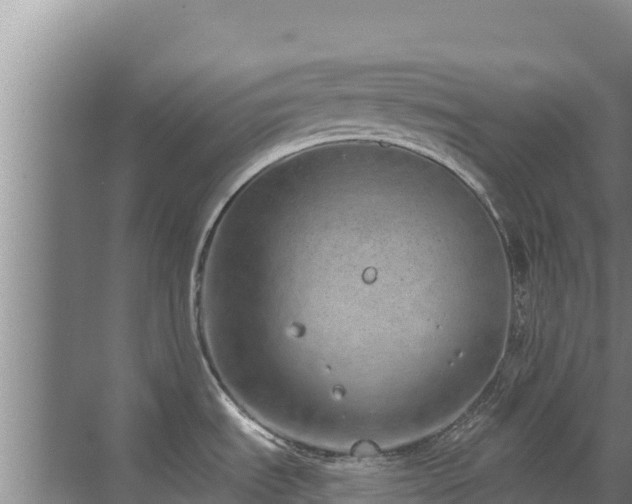 X0000072991535200607290000