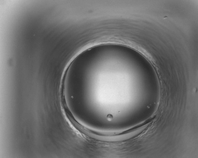 X0000072991536200607290000