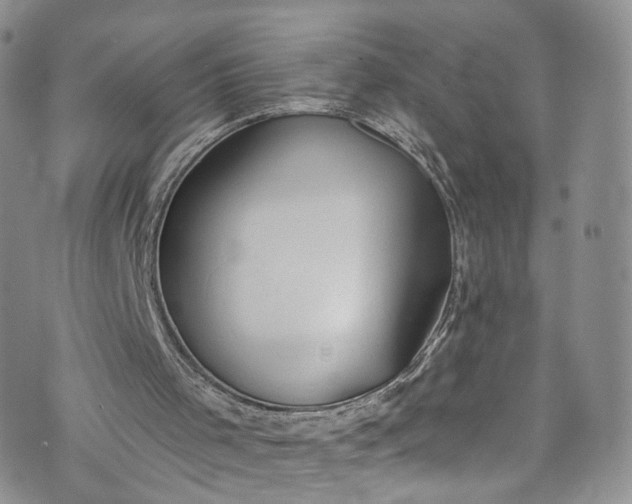 X0000072990001200608041320