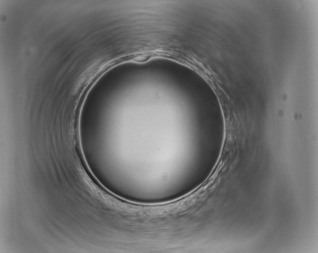 X0000072990002200608041320