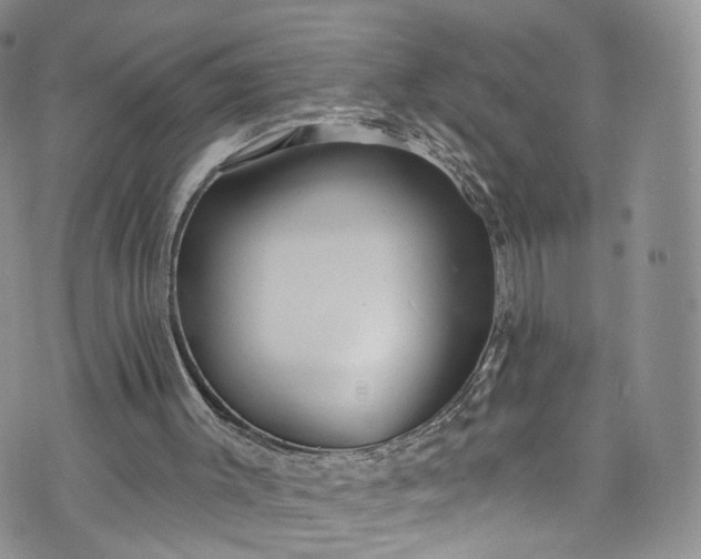 X0000072990003200608041320