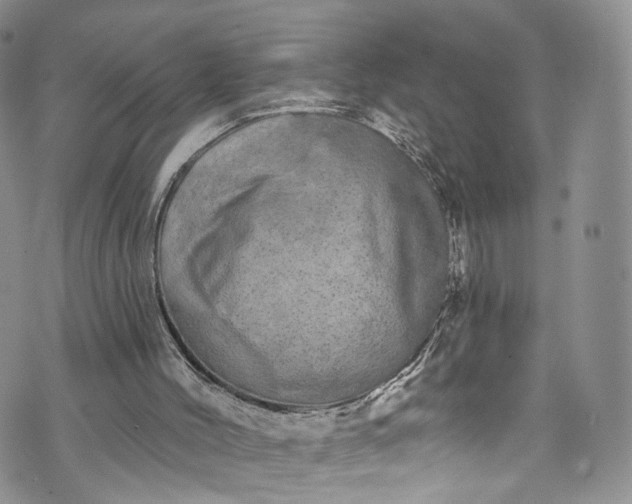 X0000072990004200608041320