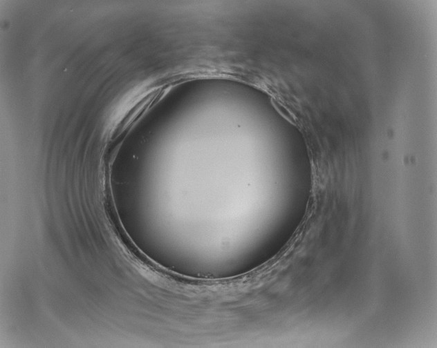 X0000072990005200608041320