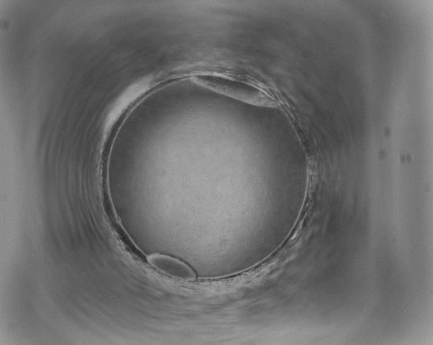 X0000072990006200608041320